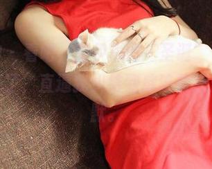 推女神 - 看吧，赵伊彤的“圣诞”合集更新又来了，直逼我纠结到底该赞还是该沉默。